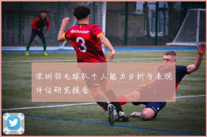 深圳羽毛球队个人能力分析与表现评估研究报告