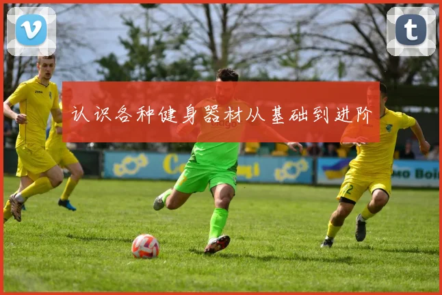 认识各种健身器材从基础到进阶